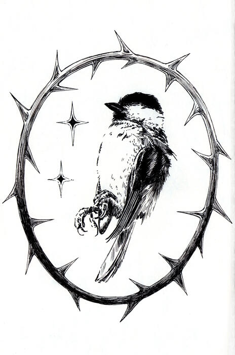 ink pen on paper
